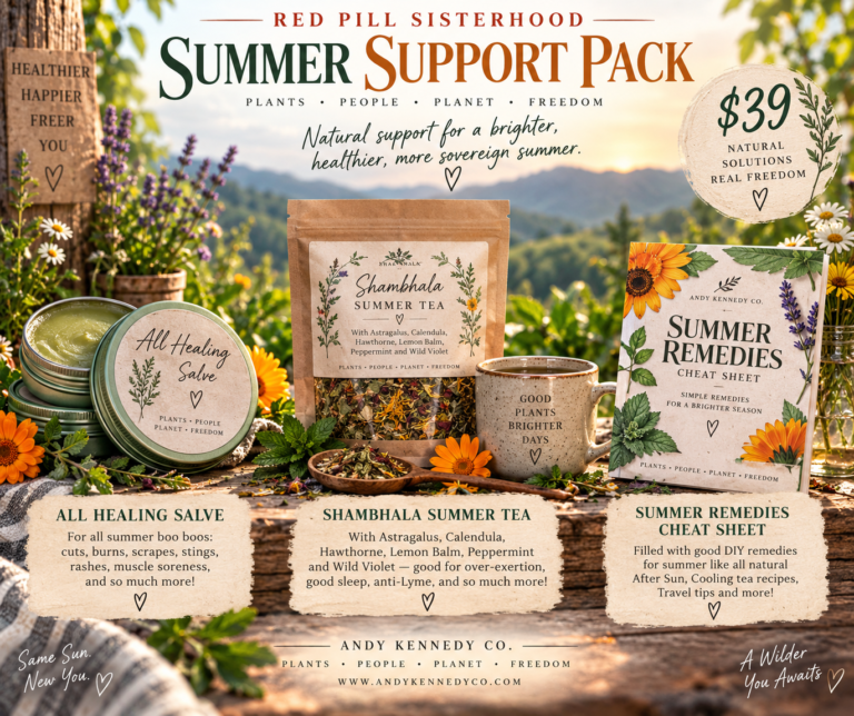 Summer Support Pack for website