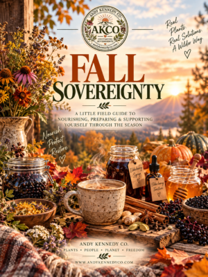 Fall Immunity Bundle