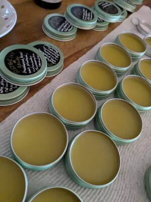 Jewelweed Salve - Sister Ivy Relief