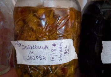 calendula in jojoba